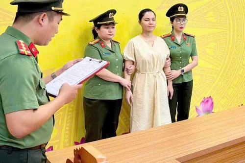 Nữ giám đốc công ty du lịch ở Tuyên Quang bị bắt về tội trốn thuế