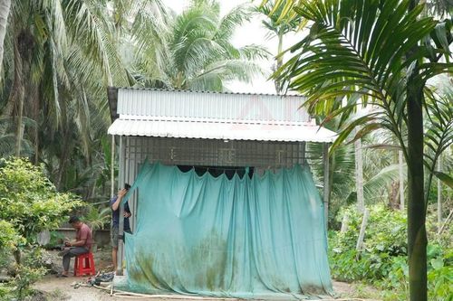 Sáng 16/9: Lời khai của nghi phạm bóp cổ, đâm vợ tử vong rồi trèo lên ngọn dừa lẩn trốn ở Cần Thơ