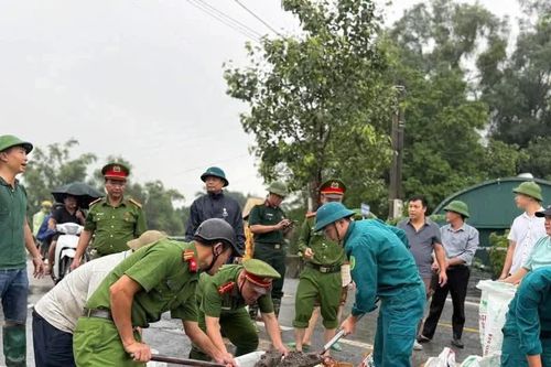 Khẩn trương gia cố bờ bao ven sông Nhuệ, ứng phó nguy cơ ngập úng