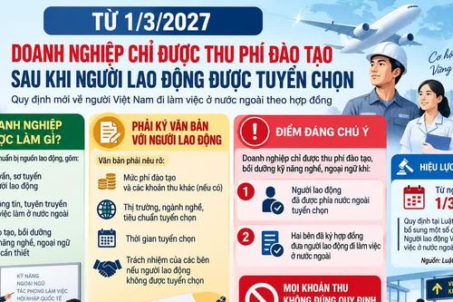 Chỉ được thu phí đào tạo lao động đi nước ngoài sau khi được tuyển chọn
