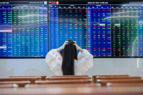 Cổ phiếu dầu khí đồng loạt lao dốc
