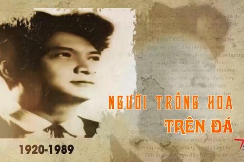 Người trồng hoa trên đá