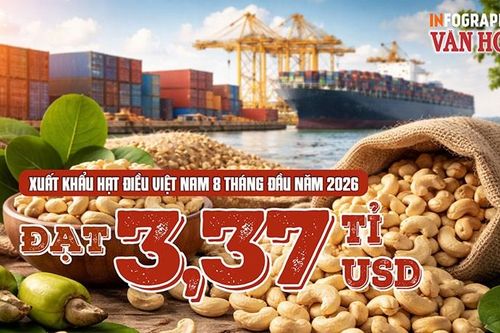 Xuất khẩu hạt điều đạt 3,37 tỉ USD dù lượng giảm 0,9%