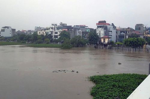 Ninh Bình: Lũ sông Đáy tiếp tục lên, nhiều nơi có nguy cơ ngập lụt