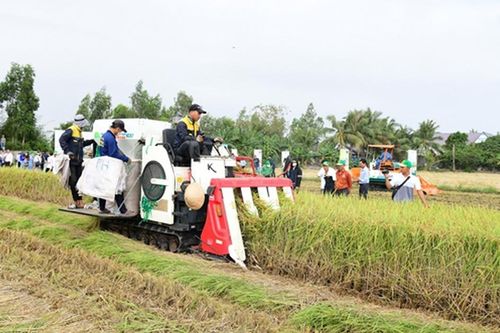 Đề xuất mới về nội dung chi, mức chi hoạt động khuyến nông