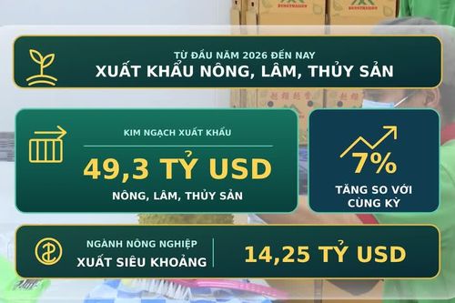 [Video] Xuất khẩu nông, lâm, thủy sản đạt 49,3 tỷ USD