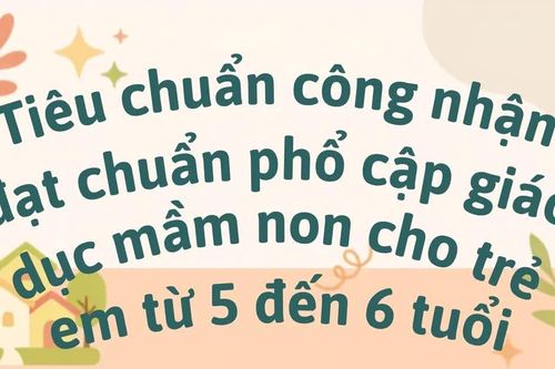 [Infographic] Tiêu chuẩn công nhận đạt chuẩn phổ cập giáo dục mầm non cho trẻ em từ 5 đến 6 tuổi