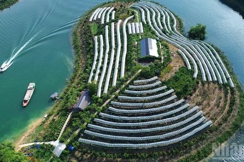 Nghị quyết 26 và mục tiêu gia tăng nhanh chóng buồng lưu trú phục vụ du lịch