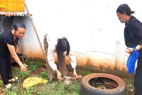 Đắk Lắk ghi nhận 6.715 trường hợp mắc sốt xuất huyết Dengue