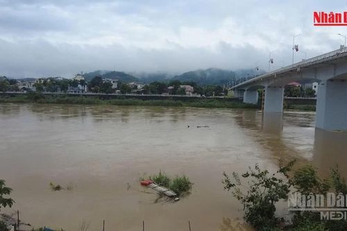 [Video] Khẩn trương triển khai phương án ứng phó lũ trên các tuyến sông