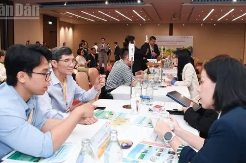 Hội thảo kết nối cung cầu doanh nghiệp Việt Nam và Thái Lan
