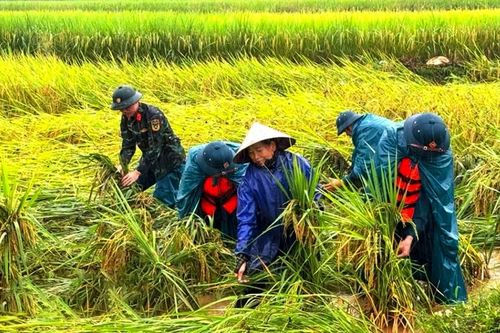 Thanh Hóa: Tập trung ứng phó mưa lũ, bảo đảm an toàn cho nhân dân