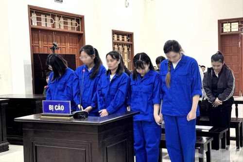 Phát hiện vụ tổ chức mang thai hộ vì mục đích thương mại từ dấu hiệu bất thường trong hồ sơ chứng sinh của 1 ca sinh đôi
