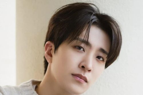 Youngjae (GOT7) thể hiện tình cảm với những chú chó bị bỏ rơi