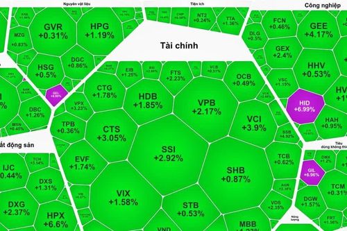 Thi trường chứng khoán Việt Nam ngược dòng thế giới