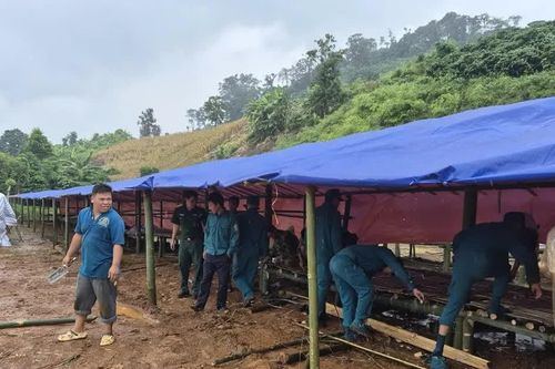 Lâm Đồng: Xuất hiện vết nứt dọc sườn đồi, hàng trăm người phải lánh nạn