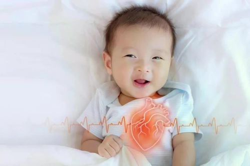 'Ăng-ten' tí hon của tế bào hé lộ bí mật về dị tật tim bẩm sinh