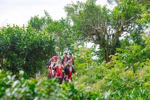 Đào tạo nghề từ lợi thế, tạo sinh kế bền vững cho người dân