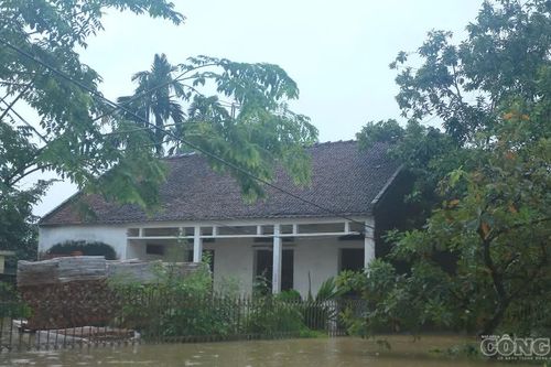 Mưa lũ khiến hơn 16.000 nhà dân ngập, nhiều tuyến đường tê liệt