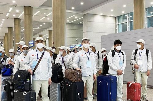 Từ 1/3/2027, doanh nghiệp chỉ được thu phí đào tạo lao động đi nước ngoài sau khi người lao động được tuyển chọn