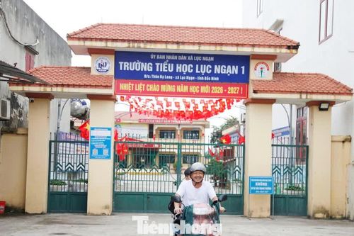 Lùm xùm việc bổ nhiệm hiệu trưởng sau sắp xếp trường học ở Bắc Ninh