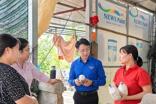 Mạch chảy tín dụng chính sách tại Phú Thọ: Từ nguồn vốn đến những sinh kế bền vững