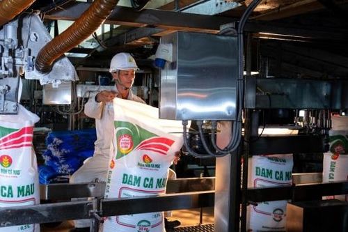 PVCFC trình cổ đông định hướng phát triển dài hạn