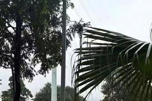 Hà Nội: Cấm xe qua điểm ngập sâu 90cm, nhiều tuyến phải phân luồng