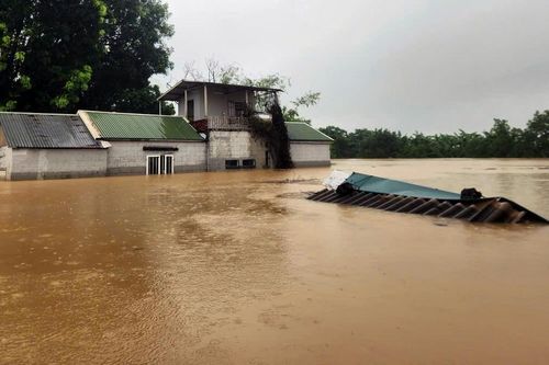 Mưa lớn, sông Bùi dâng cao, hàng trăm người dân Hà Nội sơ tán khẩn cấp
