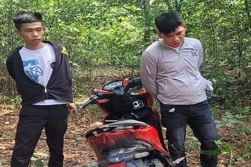 Truy xét, bắt gọn băng trộm xe máy chuyên nghiệp