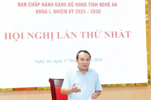 Đảng bộ Hội đồng nhân dân tỉnh tổ chức Hội nghị Ban Chấp hành lần thứ nhất