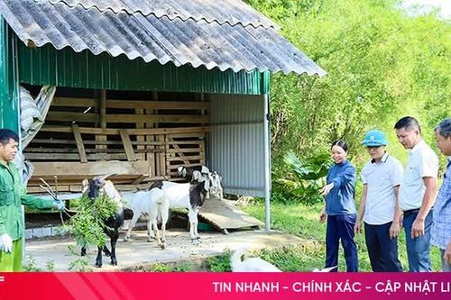 Phân bổ hơn 9,8 tỷ đồng hỗ trợ sinh kế cho người dân