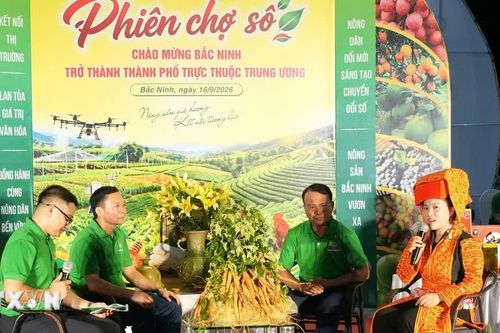 Phiên livestream quảng bá, kết nối tiêu thụ nông sản an toàn Bắc Ninh
