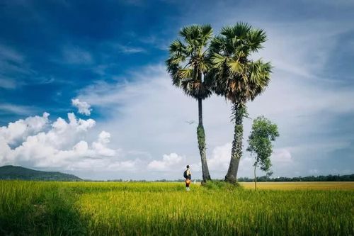 Du lịch nông nghiệp: Làm sao đưa làng quê vào chuỗi giá trị thay vì điểm 'check-in'?