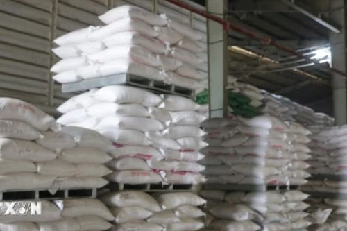 Quảng Trị: Hỗ trợ hơn 537 tấn gạo cho học sinh vùng khó khăn, biên giới