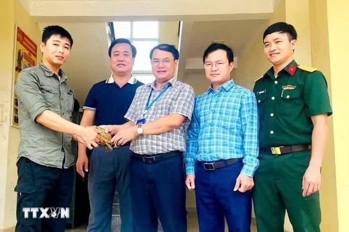 Quảng Trị: Bàn giao rùa núi vàng cho Vườn Quốc gia Phong Nha-Kẻ Bàng cứu hộ