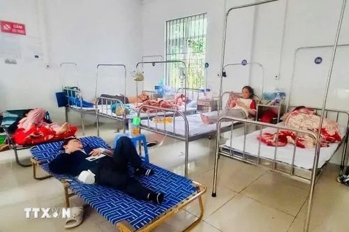 Xử phạt, đình chỉ hoạt động 4 tháng hộ kinh doanh liên quan vụ ngộ độc ở Gia Lai