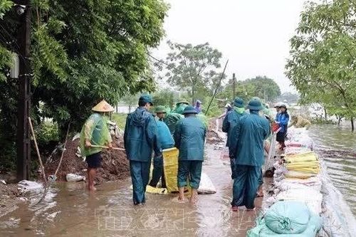 Nước sông Bùi dâng cao gây tràn đê: Hà Nội khẩn cấp ứng phó
