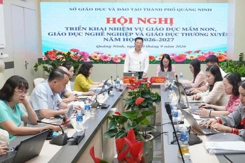 Đẩy mạnh AI, STEM trong trường học