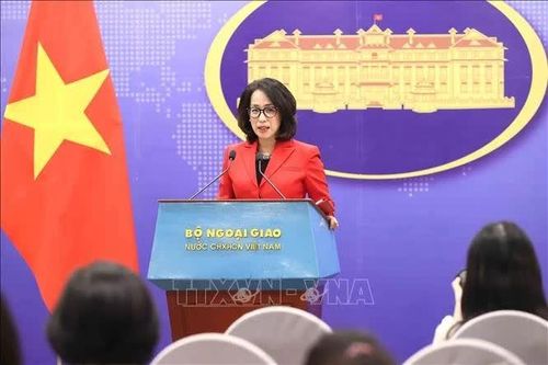 Họp báo Bộ Ngoại giao về hợp tác Nga-Việt và giải cứu ngư dân