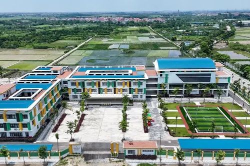 Chủ tịch UBND TP quyết định thành lập, tổ chức lại đơn vị sự nghiệp