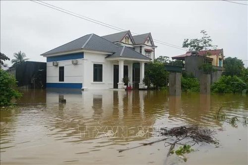 Mưa lũ gây gián đoạn cấp điện cho trên 21.600 khách hàng Thanh Hóa, Ninh Bình