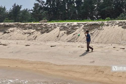 Sạt lở tạo vách cát cao quá đầu, ngư dân Quảng Ngãi chật vật đưa thúng ra biển