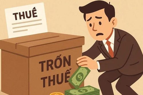 Mức xử phạt mới nhất về hành vi trốn thuế