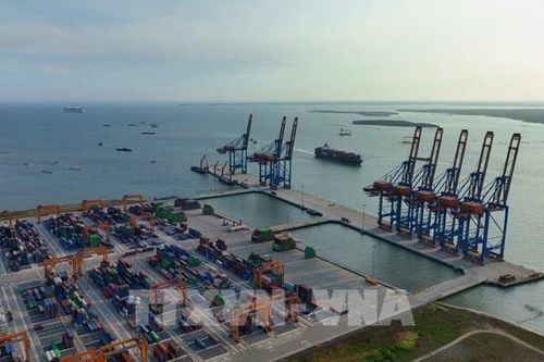 TP. Hồ Chí Minh hỗ trợ doanh nghiệp tận dụng hiệu quả các FTA