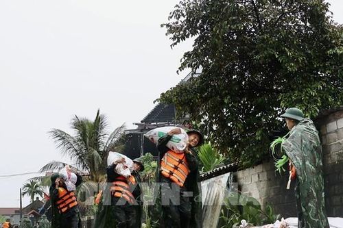 Báo động III trên sông Tích, sông Bùi, thành phố Hà Nội khẩn trương ứng phó với lũ