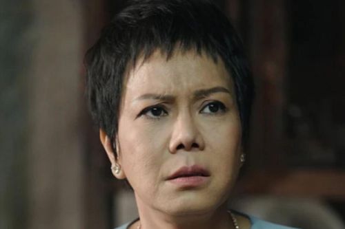 Nghệ sĩ Việt Hương bị thay thế