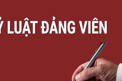 TP.HCM: Khai trừ khỏi Đảng 4 đảng viên vi phạm