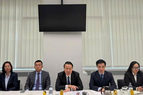 Tổ chức tài sản mã hóa đầu tiên dự kiến hoạt động trong năm nay