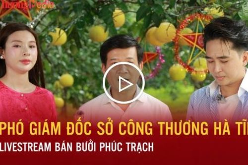 Phó Giám đốc Sở Công Thương Hà Tĩnh Livestream bán bưởi Phúc Trạch